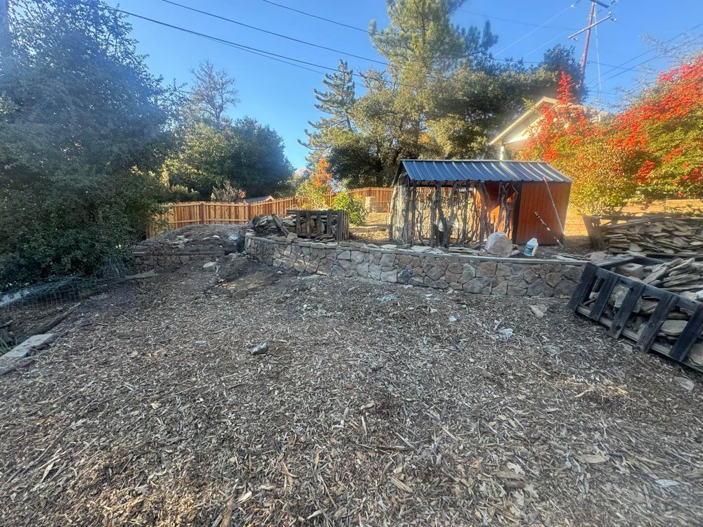 Property Clean Up for The Tree Fairy in Temecula, CA