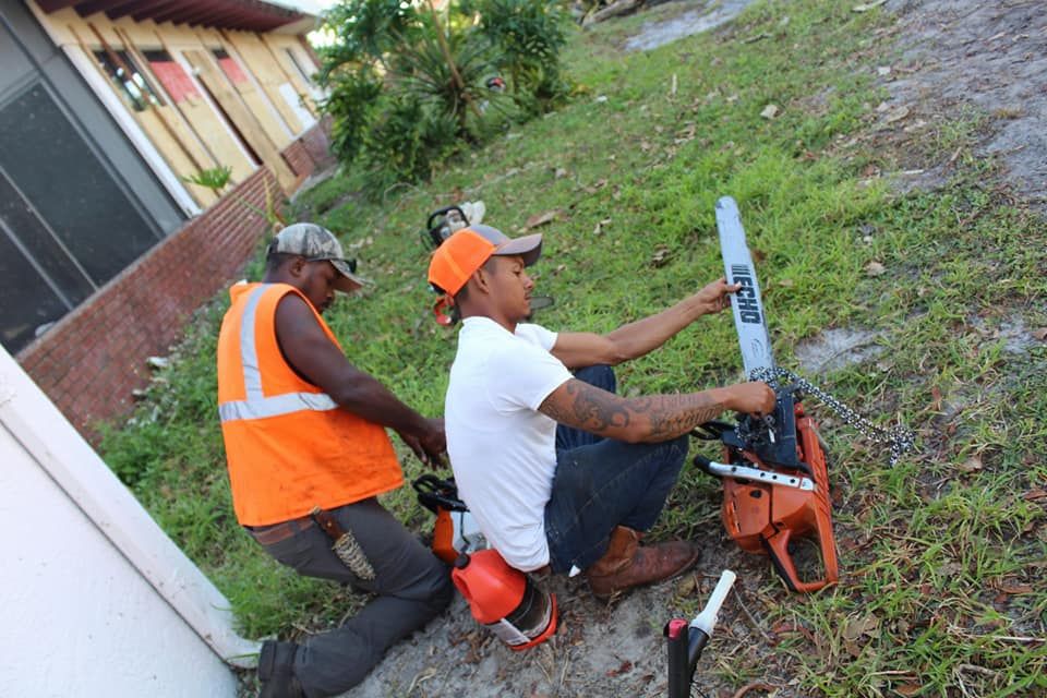 Tree Removal for American Tree Masters in Alvin, TX