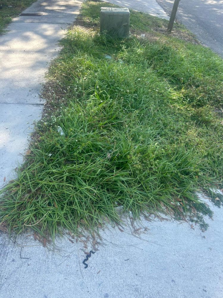 All Photos for Estrada All Pro Lawn Service in Auburndale, Florida