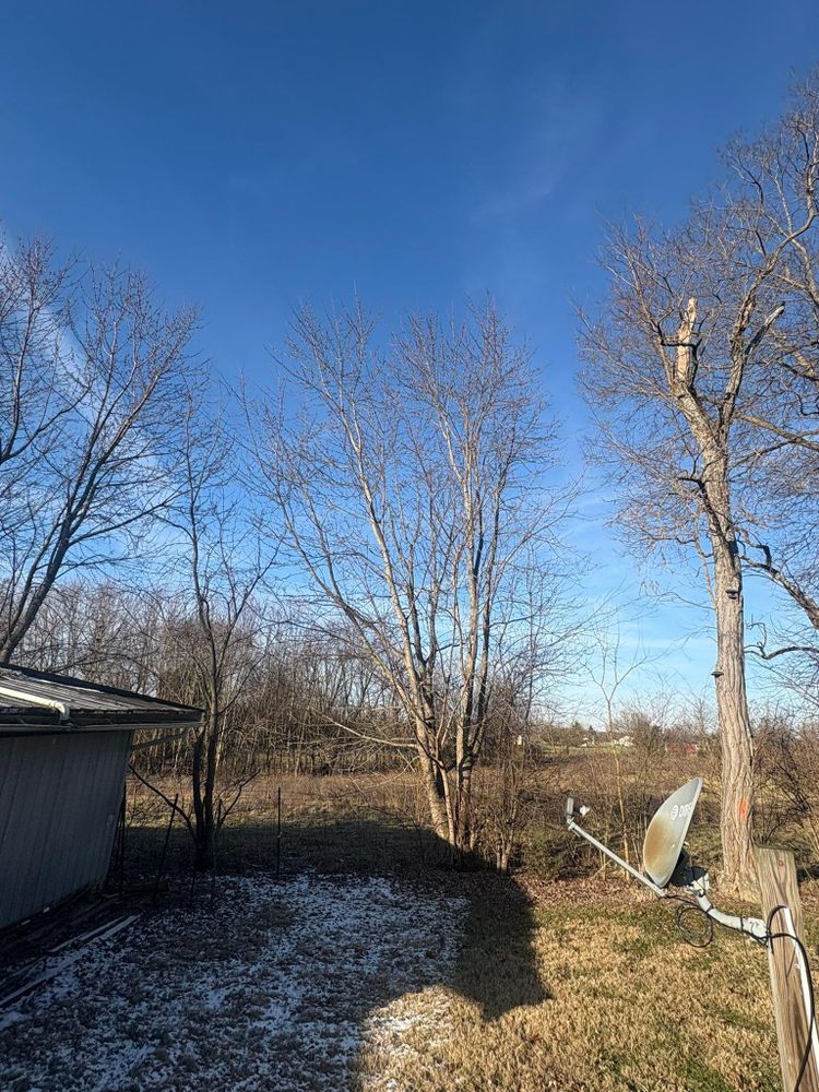 All Photos for Dig-It Tree Company in Mason, OH