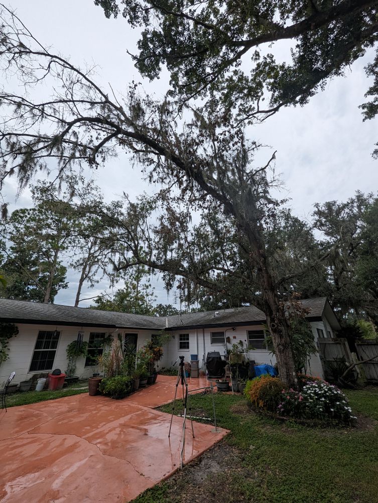 All Photos for Regal Tree Service and Stump Grinding in Wauchula, FL