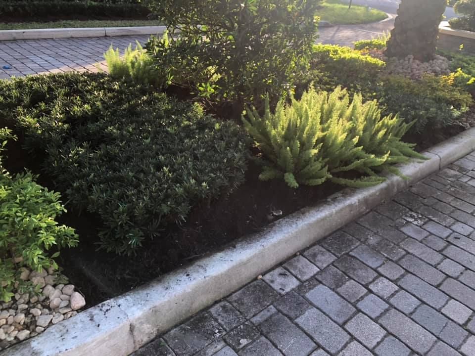 Landscaping for VS Landscaping Services inc. in Fort Lauderdale, FL