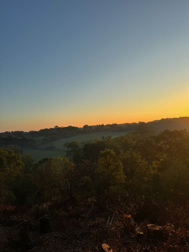 All Photos for DIRT PLUS LLC in Bowling Green, KY