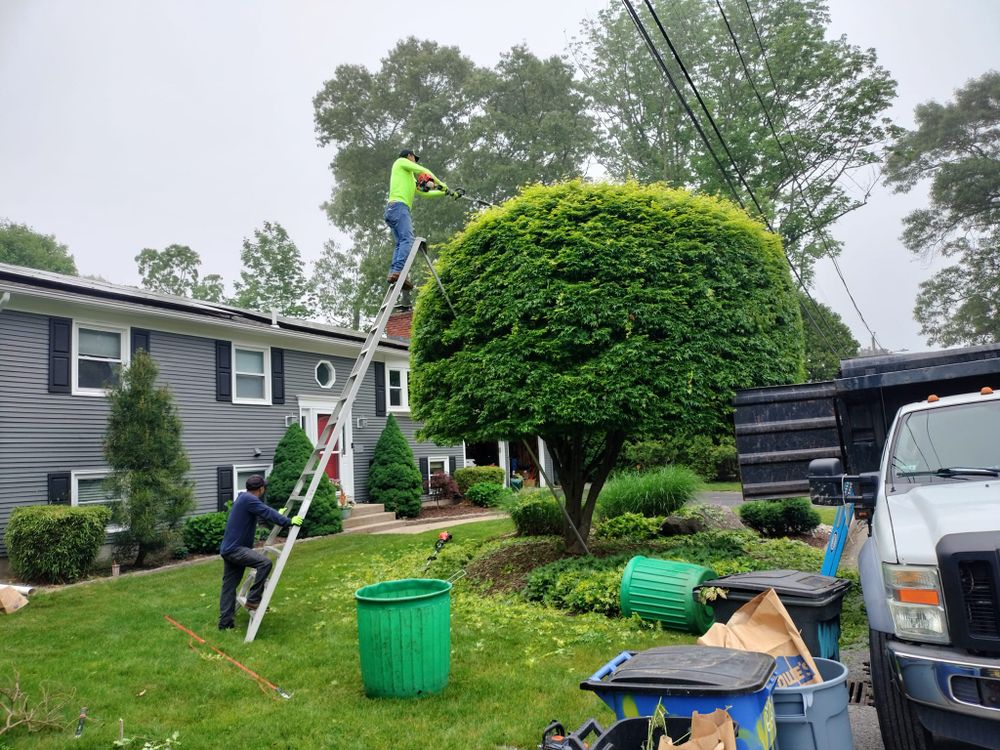 All Photos for CHACH Landscaping & Construction in Providence, RI