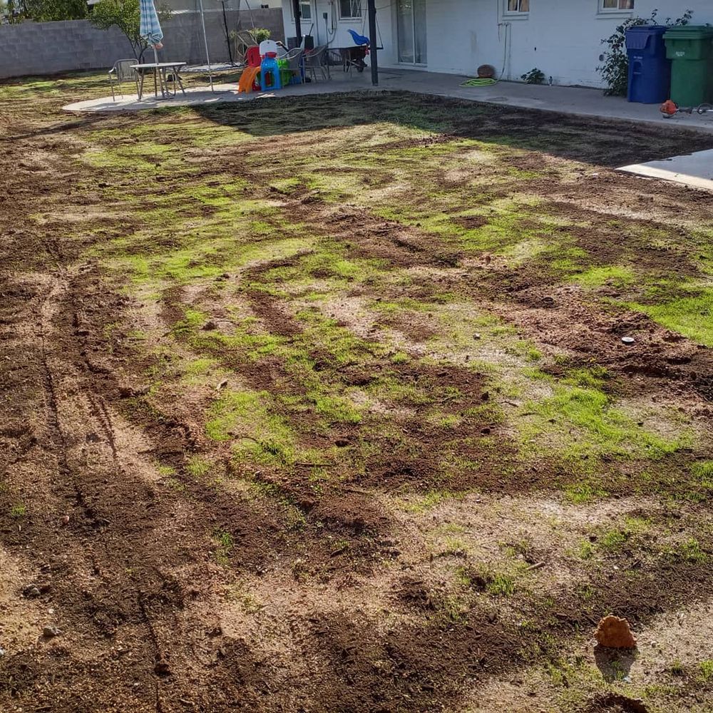 All Photos for CRAJE Landscaping LLC in Mesa, AZ