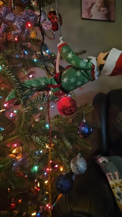 All Photos for Smith Tree Experts in Palmyra, VA