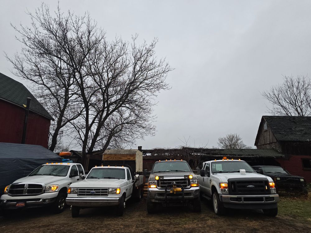 All Photos for D Hale Tree Service in Ann Arbor, MI