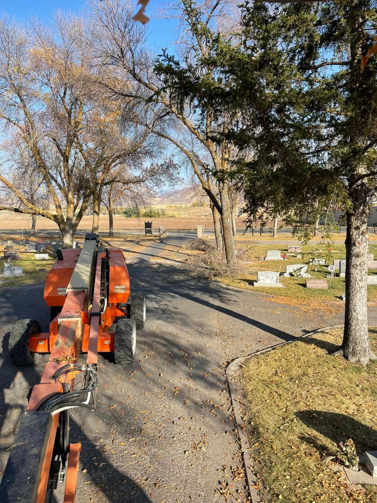 Our Tree Removal service safely and efficiently removes unwanted or hazardous trees from your property, ensuring the health of surrounding plants while enhancing safety and maintaining the beauty of your landscape. for FTC Solutions LLC in Preston, ID