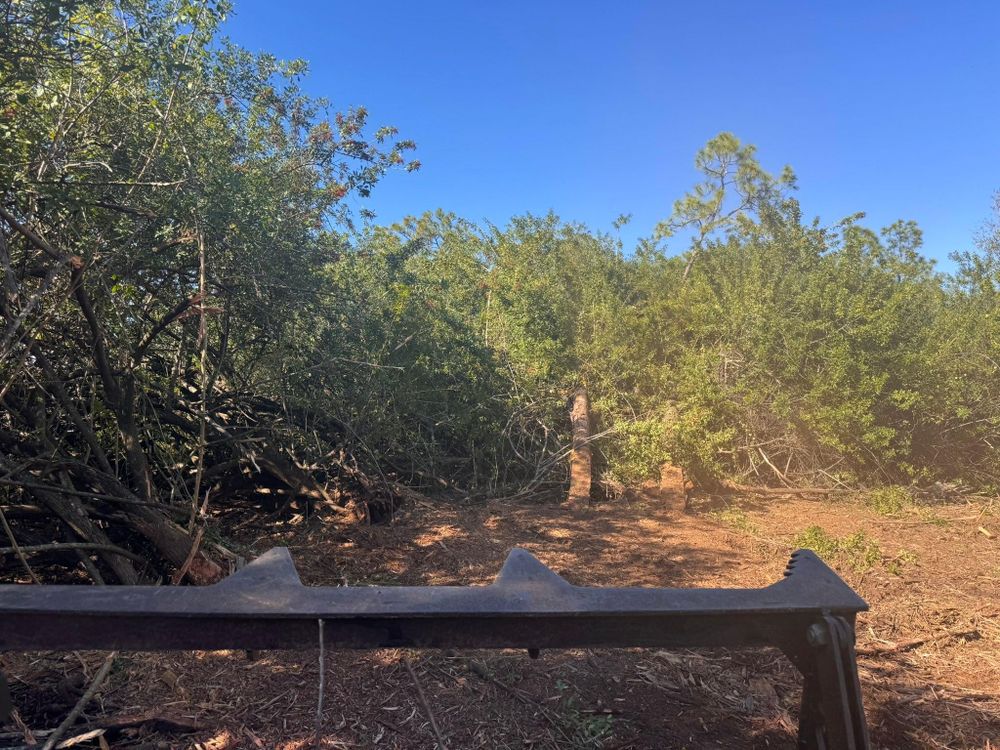 All Photos for McLeran in Naples, FL