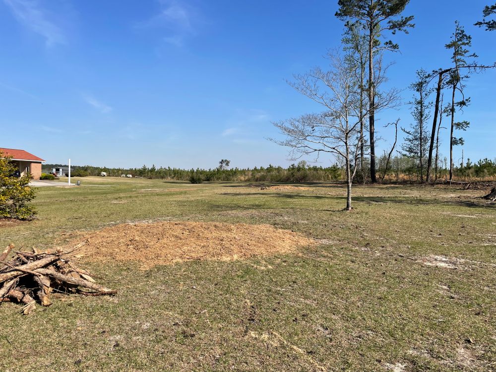All Photos for MJB’s Stump Grinding LLC in Tennille, GA