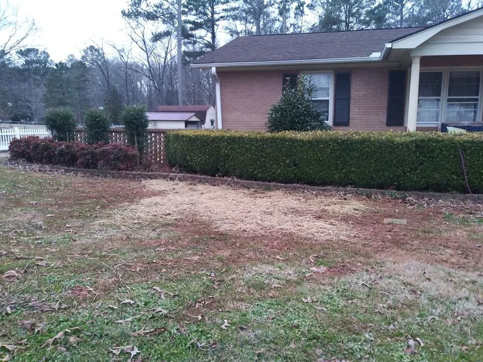 Our professional shrub trimming service is designed to enhance the beauty and health of your landscape by shaping and maintaining your shrubs with precision, expertise, and care. for Mack Lawn Services  in Waterloo, SC