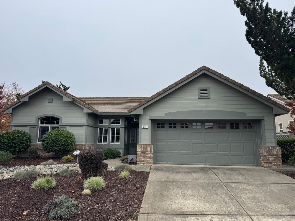 All Photos for The Painter in Citrus Heights, CA