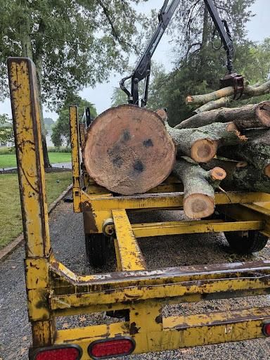 All Photos for Smith Tree Experts in Palmyra, VA