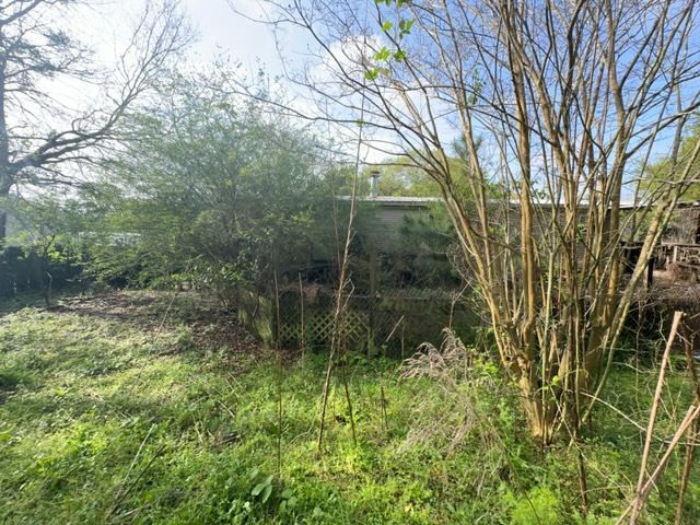 Tree Cleanup  for D&D Services of Pensacola in Pensacola, FL