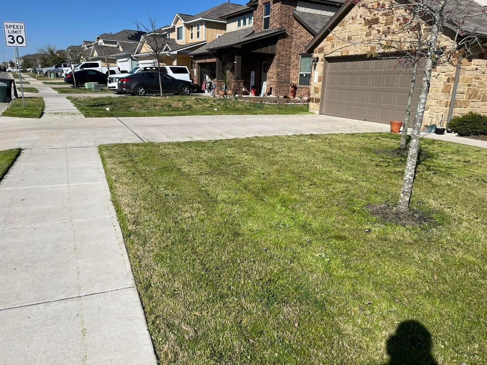 All Photos for Green Turf Landscaping in Kyle, TX