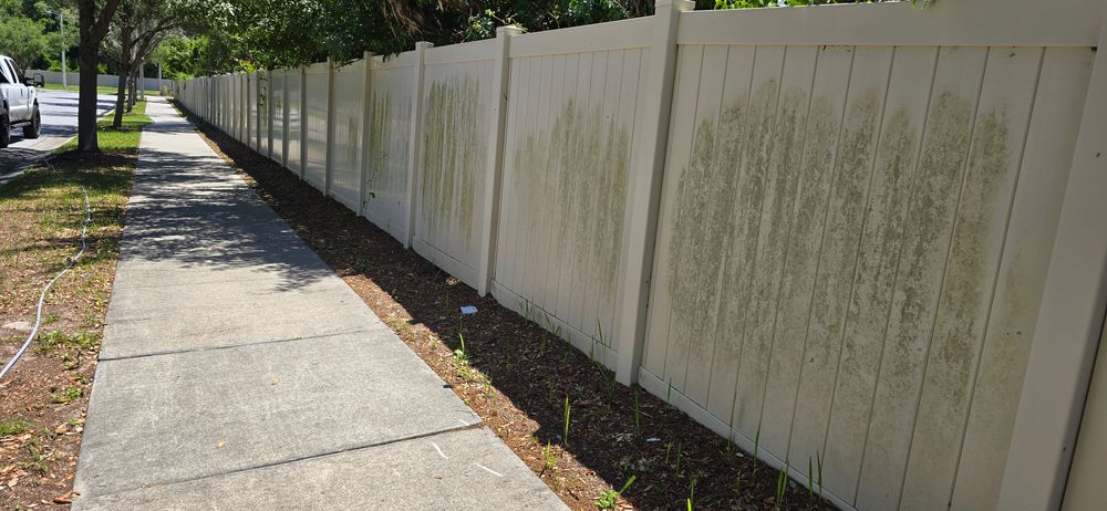 All Photos for Blue Stream Roof Cleaning & Pressure Washing in Tampa, FL
