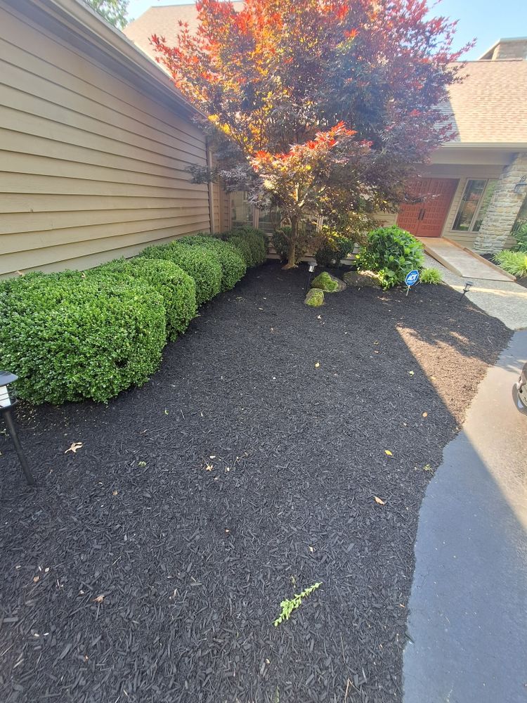 All Photos for Cincinnati’s Finest Landscape Services LLC in Cincinnati, OH