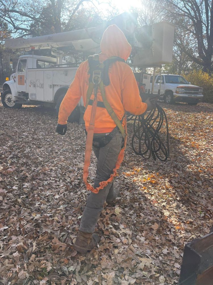 All Photos for Ross Family Tree Service LLC  in Hohenwald, TN