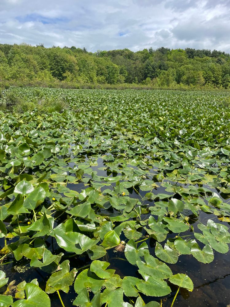 All Photos for Galactic Reiki in Mount Pocono, PA