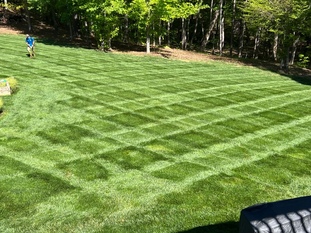 All Photos for Malboeuf Landscaping, Inc in Kernersville, NC