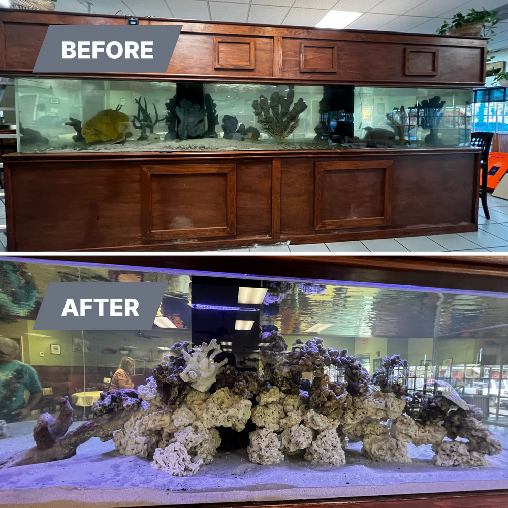 BEFORE AND AFTER for Aquariums by Sharyn in The State of Florida, FL