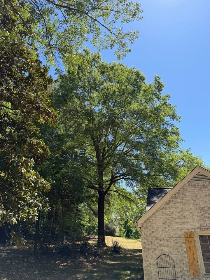 All Photos for Hunt’s Hauling & Landworks LLC in Danville, VA