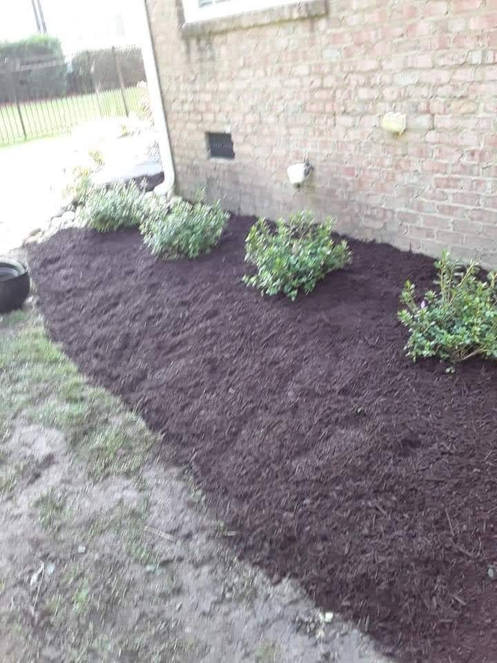 All Photos for Handy Al's Landscaping LLC in Greenville, NC