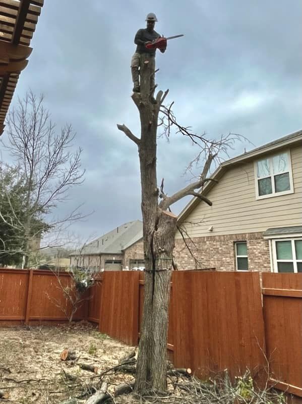 Lawn Care and Maintenance for Texican JLS in Manor, TX