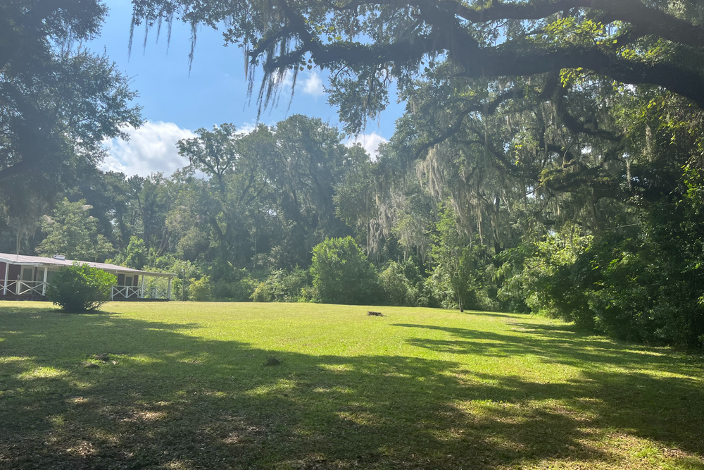 Our Lawn Maintenance service includes mowing, edging, trimming, and blowing to keep your yard looking neat and healthy all year round. Let us take care of the hard work for you! for All American Property Services in High Springs, FL