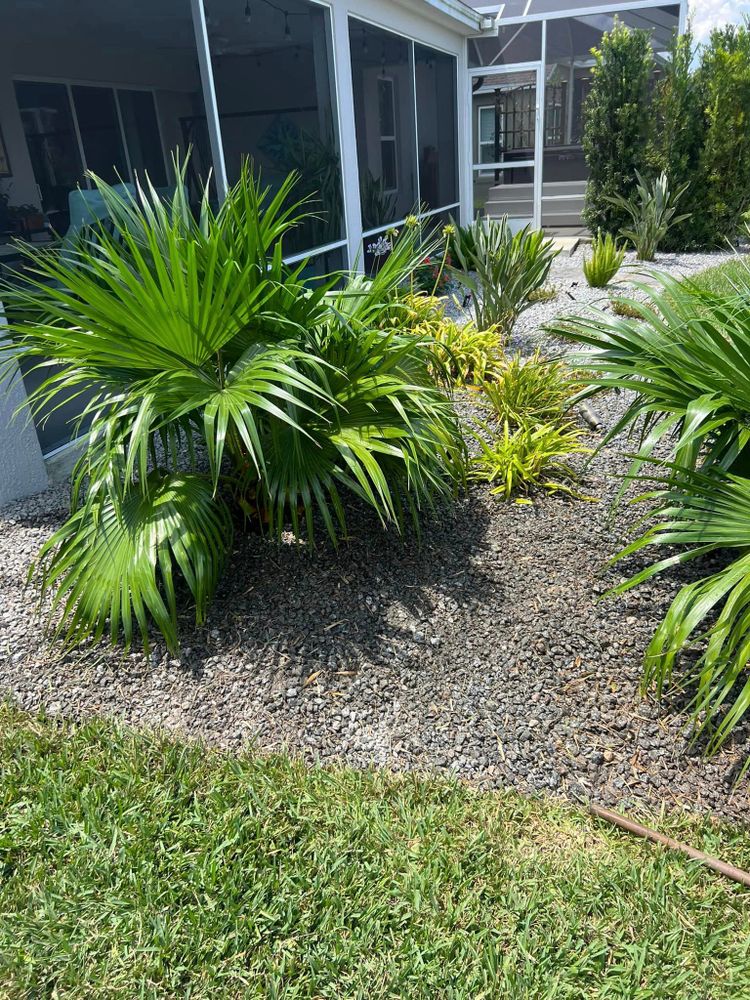 Landscaping for R.B. & Company in Bellview, FL