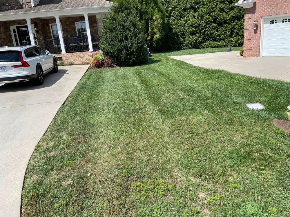 Lawn Care for CW Lawn & Landscape in Hickory, NC