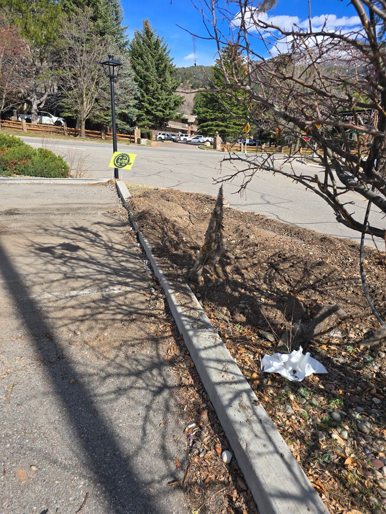 All Photos for LRS: Landscape, Rescue, Snow in Silt, CO
