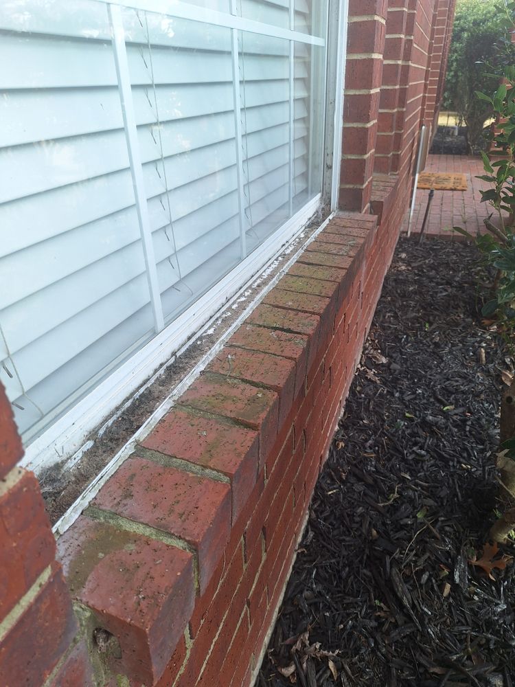 All Photos for Connected Exterior Cleaning in Mesa, AZ