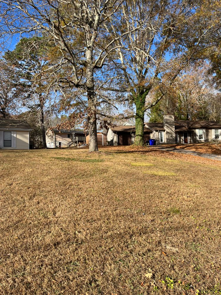 All Photos for J.P Landscaping and excavation in Chattanooga, TN