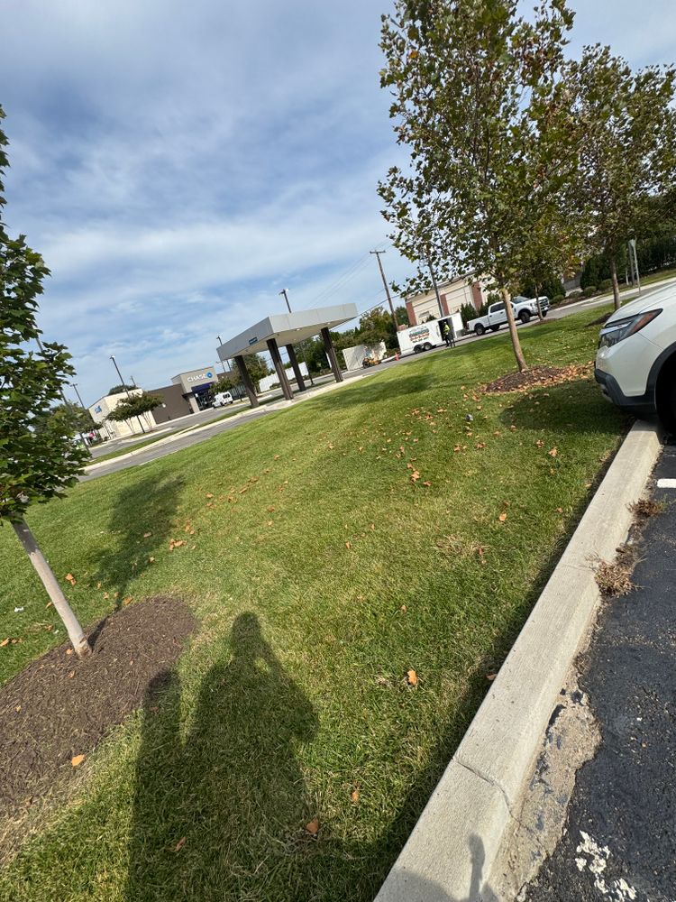 All Photos for Robbie's Lawn & Landscape in Chesterfield, VA