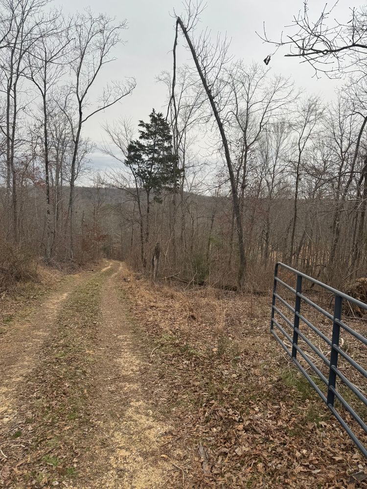 All Photos for Simmons land works in Sardis,, TN