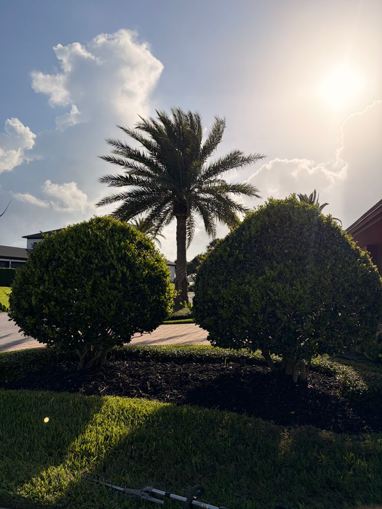 All Photos for Vanic's Landscaping in Port Orange, FL