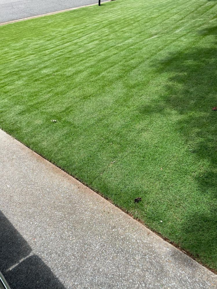 Landscaping for All About Lawns in Trussville, AL