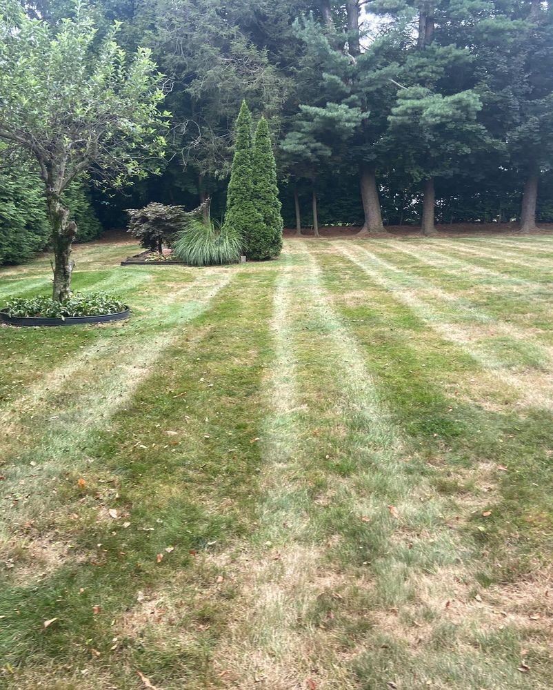 All Photos for Ace Landscaping in Trumbull, CT