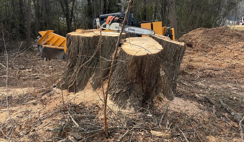 Our stump consultation service provides expert advice on the best strategy for removing unsightly tree stumps from your yard, ensuring a seamless and effective solution to improve your outdoor space. for J&K Stump Grinding in Detroit, MI