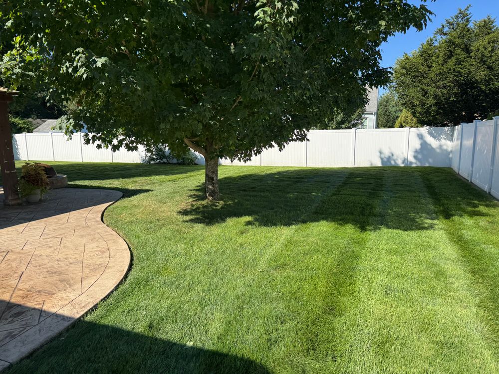 All Photos for Adams Landscaping in Springfield, MA