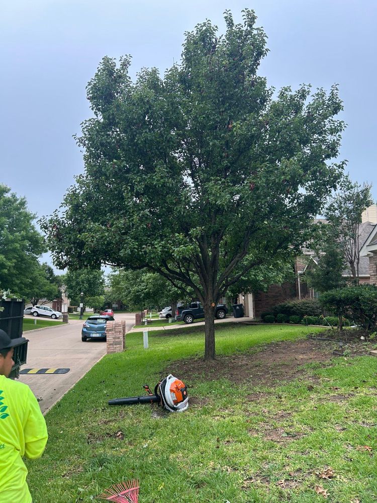 All Photos for Teague Trees and Land Clearing in Rendon, TX