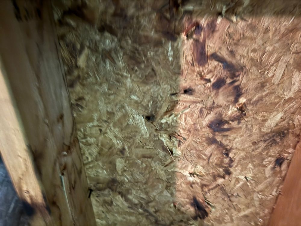 All Photos for FNS Exterior Consulting LLC, Powered By Live OAK in Cumming, GA