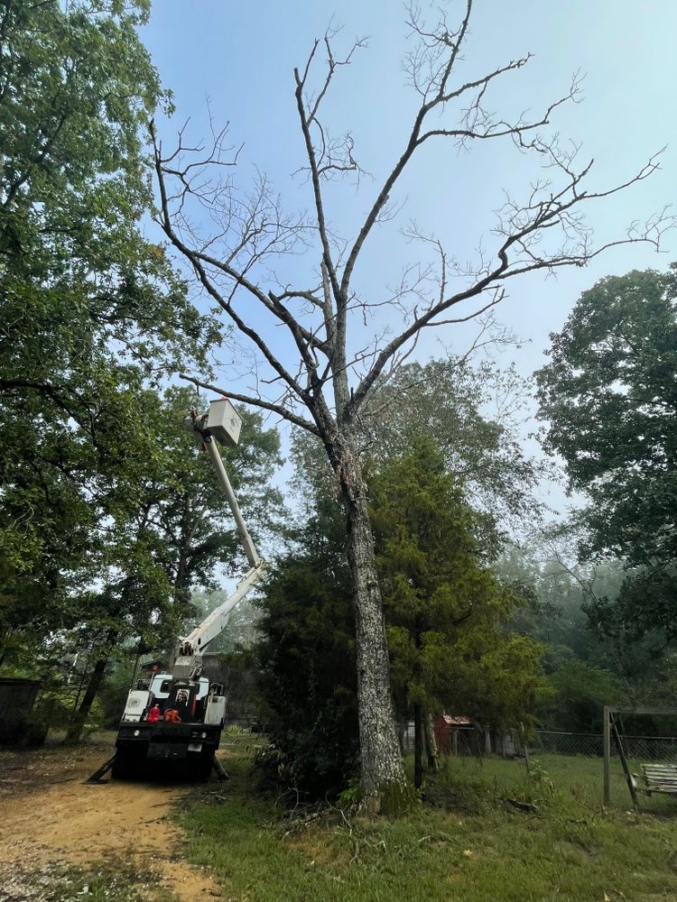 All Photos for Ross Family Tree Service LLC  in Hohenwald, TN