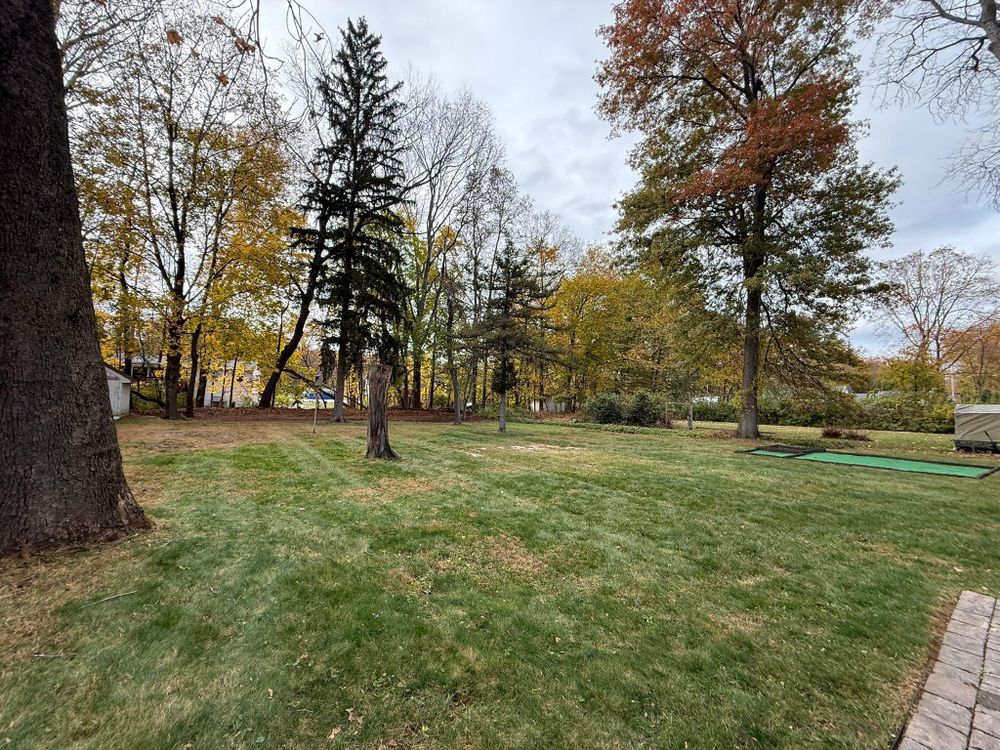 All Photos for Ardisi Property Maintenance LLC in Poughkeepsie, NY 