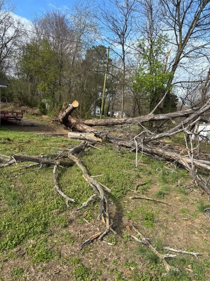 All Photos for Cody's Quality Construction in Milan, TN