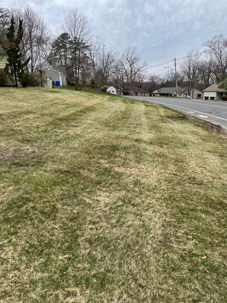 All Photos for Adams Landscaping in Springfield, MA