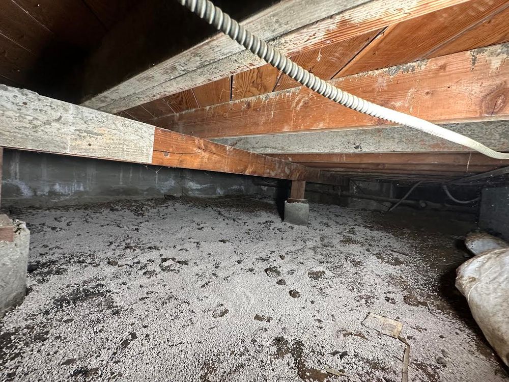 Our Crawlspace Remediation service ensures a safe, mold-free environment by addressing moisture issues, improving air quality, and enhancing energy efficiency in your home. Protect your property with our expert solutions today. for NEWGEN Restoration in San Diego, CA