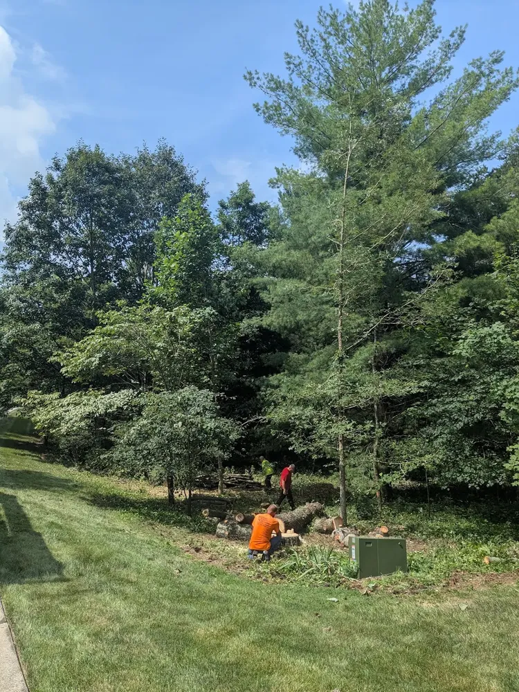 All Photos for Lightning Tree Service in Corydon, IN