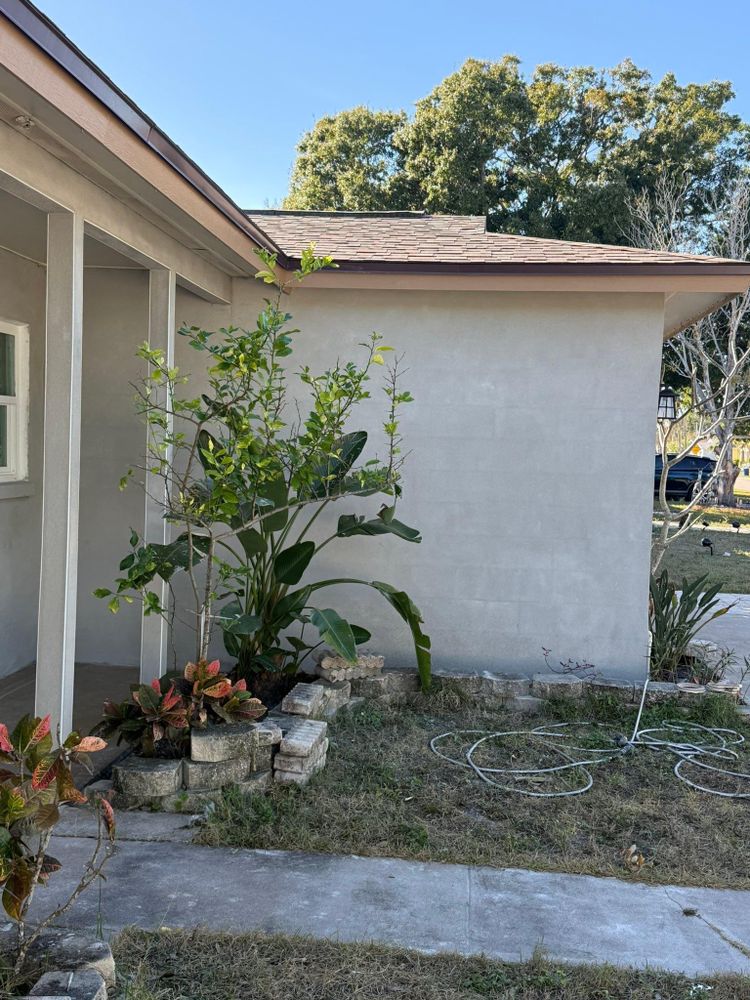 All Photos for Escorpio Painting in Tampa, FL